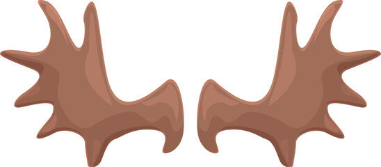 Pair of symmetrical antlers from a bull moose isolated on a white background