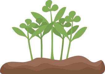 Young plants growing from ground soil representing new life