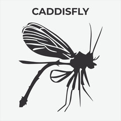 A Distinctive Caddisfly Silhouette for Multi-Format Design Projects. Vector Illustration