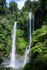 The majestic Sekumpul Waterfall in Bali flows through dense greenery, framed by the vibrant forest.