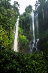 Twin waterfalls cascade down a lush, green cliff surrounded by dense foliage. The mist from the falls rises, creating a serene and refreshing atmosphere.