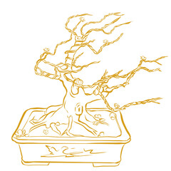 Bonsai tree