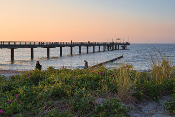Obraz premium ilhouette der Seebrücke von Heiligendamm bei Sonnenuntergang hinter blühenden Hagebutten-Sträuchern am Dünenrand, maritimes Küstenpanorama, Mecklenburg-Vorpommern, Deutschland