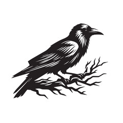 crow  silhouette png ,crow  flying  silhouette ,crow bird silhouette,crow tatto silhouette 