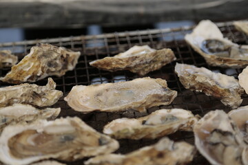 牡蠣小屋でのシーン