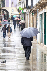 Two individuals are seen from behind walking down a wet cobblestone street, holding umbrellas to shield themselves from the rain