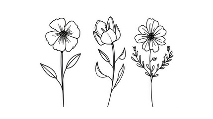 A simple line drawing of three different types of flowers in a clip art style generated with AI