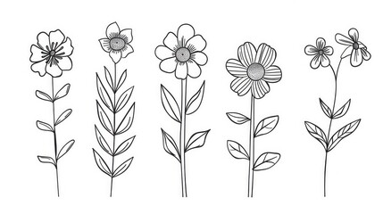 Flowers simple line art set. Set of hand drawn wild flowers and leaves generated with AI