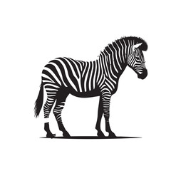 zebra silhouette ,zebra silhouette art , zebra silhouette images , zebra silhouette clipart , zebra silhouette  png