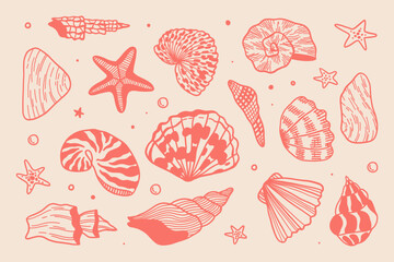 Seashells hand-drawn vector set.