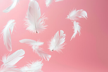 white feathers floating in the air on the white background