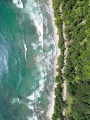 Regenwald neben dem Meer