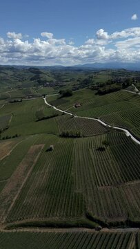 Panoramic view, aerial shot, Piedmont hills vineyards. Langhe. Vertical video