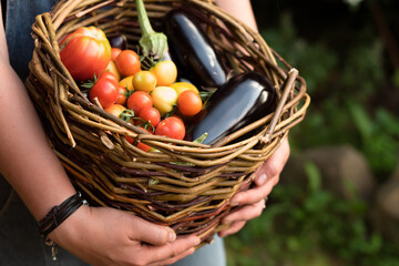hands of woman holding basket with vegetables outdoors