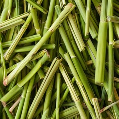 Obraz premium Lemongrass texture background, cymbopogon pattern, barbed wire grass banner, silky heads or oily heads