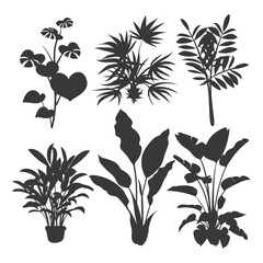 silhouette several types of ornamental plants black color only