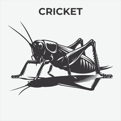 A Distinctive Cricket Silhouette for Multi-Format Design Projects. Vector Illustration