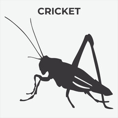 A Clear and Bold Cricket silhouette for Versatile Applications. Vector Illustration
