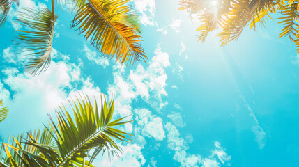 Lush green palms under a clear sky