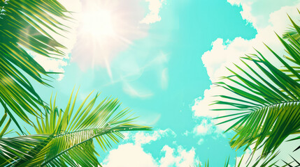 Sunny tropical foliage against the sky