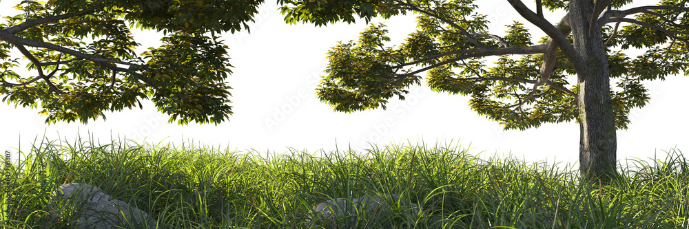 Canvas Prints tree branches and grass field