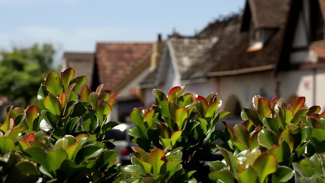 Solvang's Danish Charm in Santa Barbara County California, blurred in the background to emphasize the lush vegetation in the foreground.