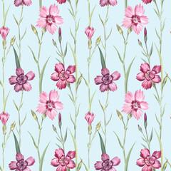 Maiden pink flowers seamless pattern on sky blue background. Flowers are painted with watercolors. Retro style ditsy ornament for fabric, wrapping paper, home textile, wallpaper and more