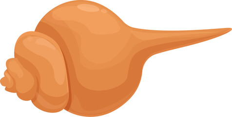 Big sea shell from tropical lagoon lying on white background