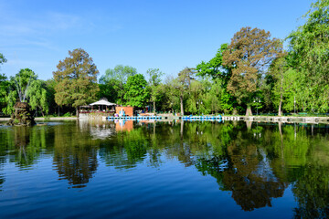 Obraz premium Vivid green landscape with old large linden trees and small boats near the lake in Cismigiu Garden (Gradina Cismigiu), a public park in the city center of Bucharest, Romania, in a sunny spring day.