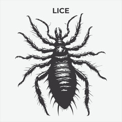 A Clear and Bold Lice silhouette for Versatile Applications. Vector Illustration