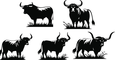 Obraz premium Print