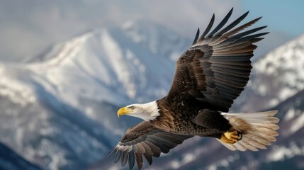 Fototapeta premium A bald eagle in flight against a backdrop of snow-capped mountains, its sharp eyes scanning the landscape below.