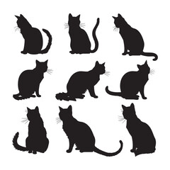 set of cats silhouettes vector white background