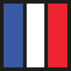 French Flag Icon