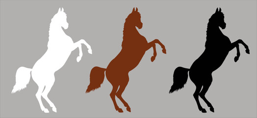 Black, white and brown silhouette of a rearing Arabian horse. Equine vector drawing.	