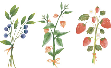 hand drawn watercolor set of berries. berry vector art. strawberry, blueberry, morel berry illustration