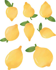 Hand drawn set of lemon. Watercolor set of lemon. Lemon illustration. Vector illustration set of lemon 