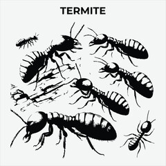 A Clear and Termite Lice silhouette for Versatile Applications. Vector Illustration