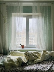 Fresh cozy design of bedroom, interior design window with curtains, green white aesthetic, cute...