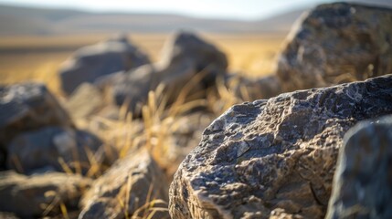The boulder fields seem to go on forever creating a sense of endlessness and isolation.