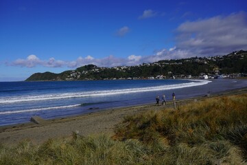 Blue water and sky off of a Lyall Bay beach with surf breaking