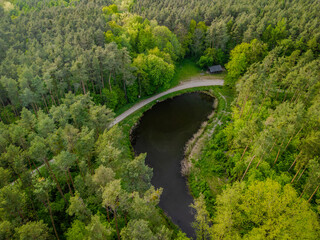 Forest pond and tourist shelter