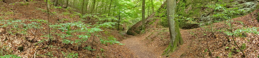 Drachenschlucht im thüringer Wald - Wanderweg im Sommer bei Eisenach