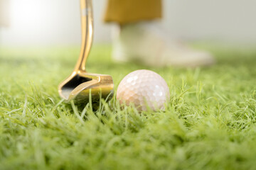 The golfer with a golf club and golf ball