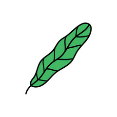 Hand drawn cartoon green leaf on white background.