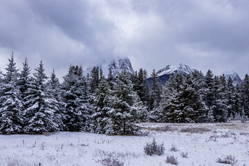Bow Valley Pkwy Banff National Park Alberta Canada