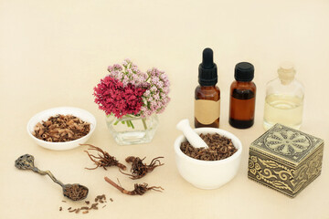 Valerian herb root with flowers and essential oil bottles. Used in herbal medicine to treat insomnia, is a sedative and tranquilizing natural drug.