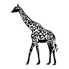 Black giraffe silhouette front view flat style, vector illustration isolated on white background. Savanna funny animal with long neck