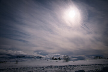 Norwegian high mountains in the snow. White landscape with defused light.