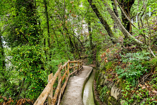 Algund, Waalweg, Algunder Waalweg, Waal, Wasserrinne, Wanderweg, Waldweg, Kastanienwald, Fr&uuml;hlingsferien, Fr&uuml;hling, Vinschgau, Meran, S&uuml;dtirol, Italien